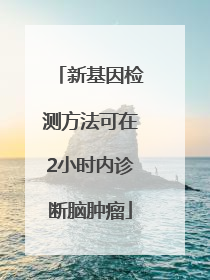 新基因检测方法可在2小时内诊断脑肿瘤